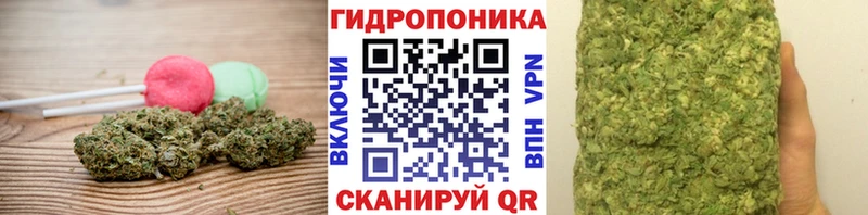 OMG ссылка  дарнет шоп  Кисловодск  Canna-Cookies марихуана 
