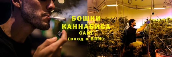 гидра Горняк