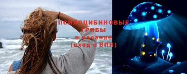 гидра Горняк