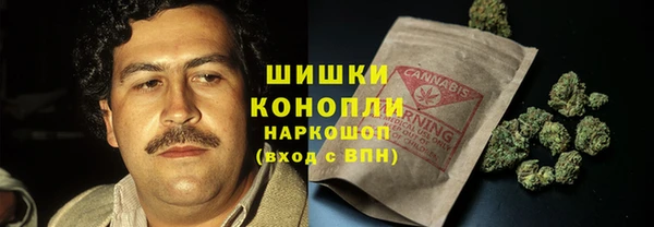гидропоника Горнозаводск