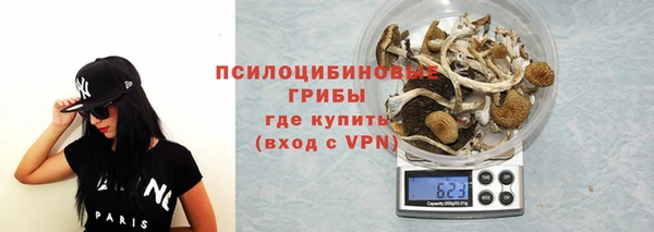 гидра Горняк