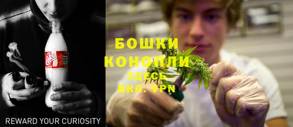 гидра Горняк