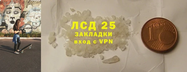 гидра Горняк