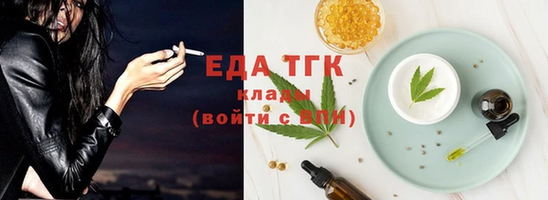 гидра Горняк