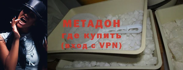 гидра Горняк