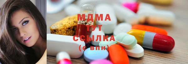 гидра Горняк