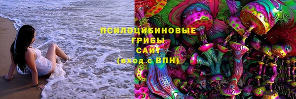 гидропоника Горнозаводск
