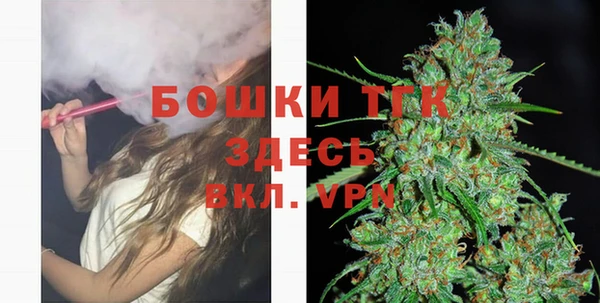 гидра Горняк