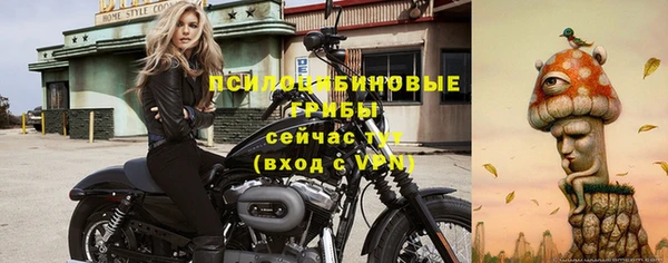 гидропоника Горнозаводск