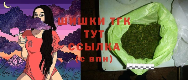 гидропоника Горнозаводск