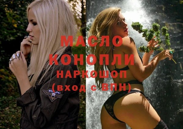 гидра Горняк