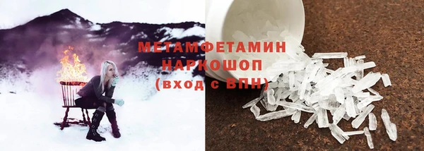 гидра Горняк
