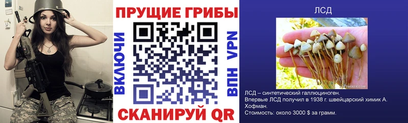 Псилоцибиновые грибы GOLDEN TEACHER  Кисловодск 
